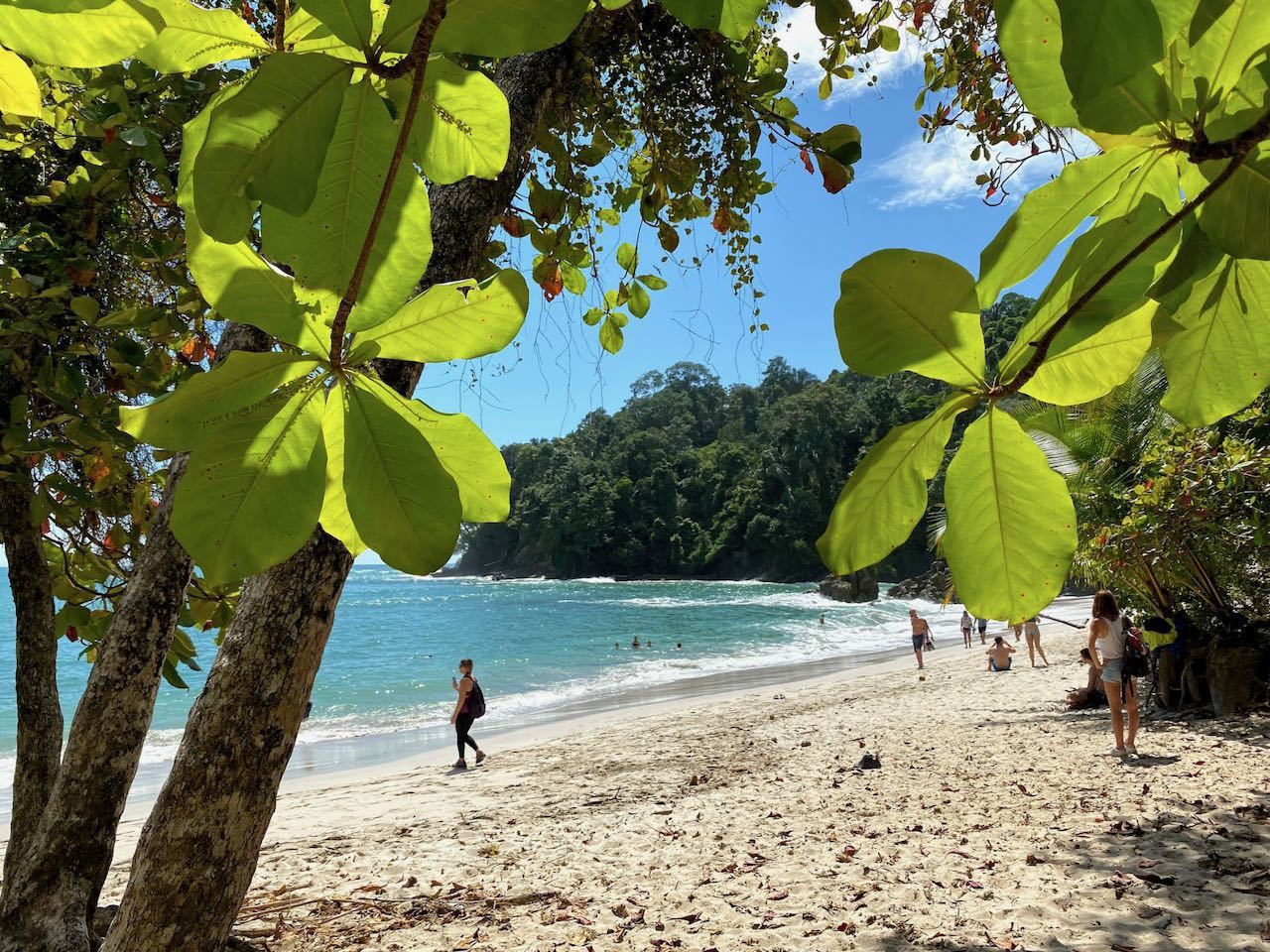 View of sandy beach through the trees in Manuel Antonio National Park