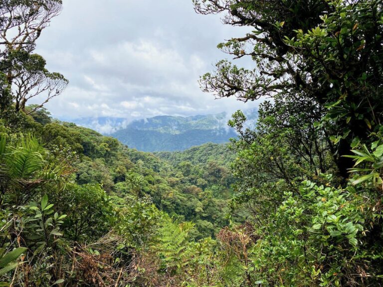 20 Best Things To Do In Monteverde Costa Rica