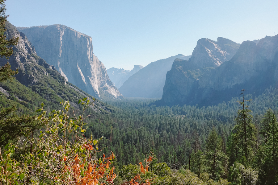 Yosemite California