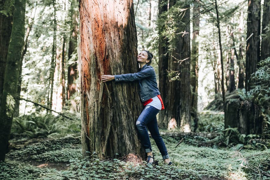 Annette White Hugging a Redwood Tree