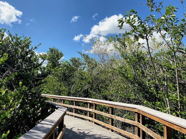 Things To Do In the everglades boardwalk trails