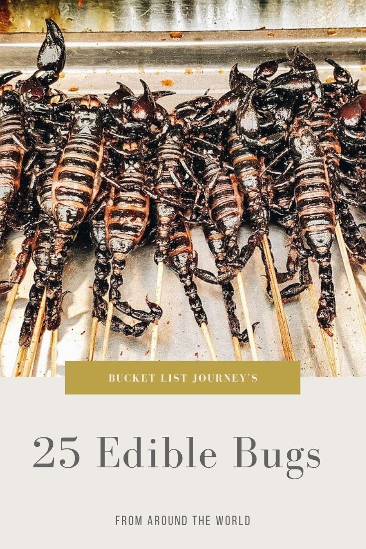 Edible Bugs Bucket List: 25 Insects People Eat Around the World