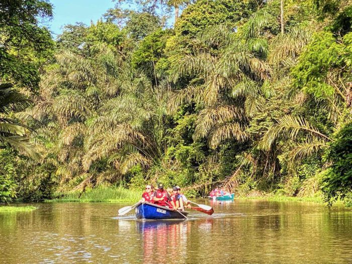 canoeing on the river in Tortuguero national park