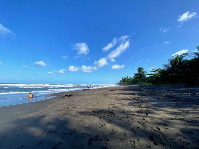wild black sand beach in tortuguero national park in costa rica