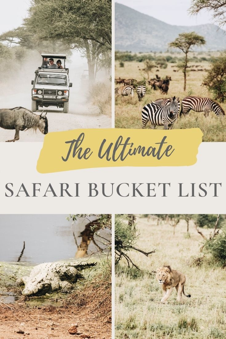 The Ultimate Safari Animal Bucket List: African Wildlife You Must See