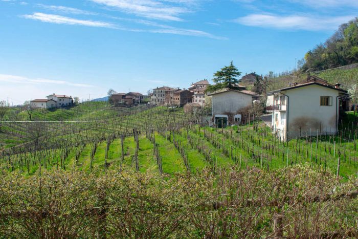 Prosecco hills in northern Italy