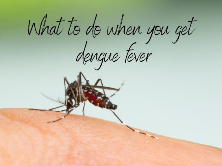 What To Do When You Get Dengue Fever When You Travel