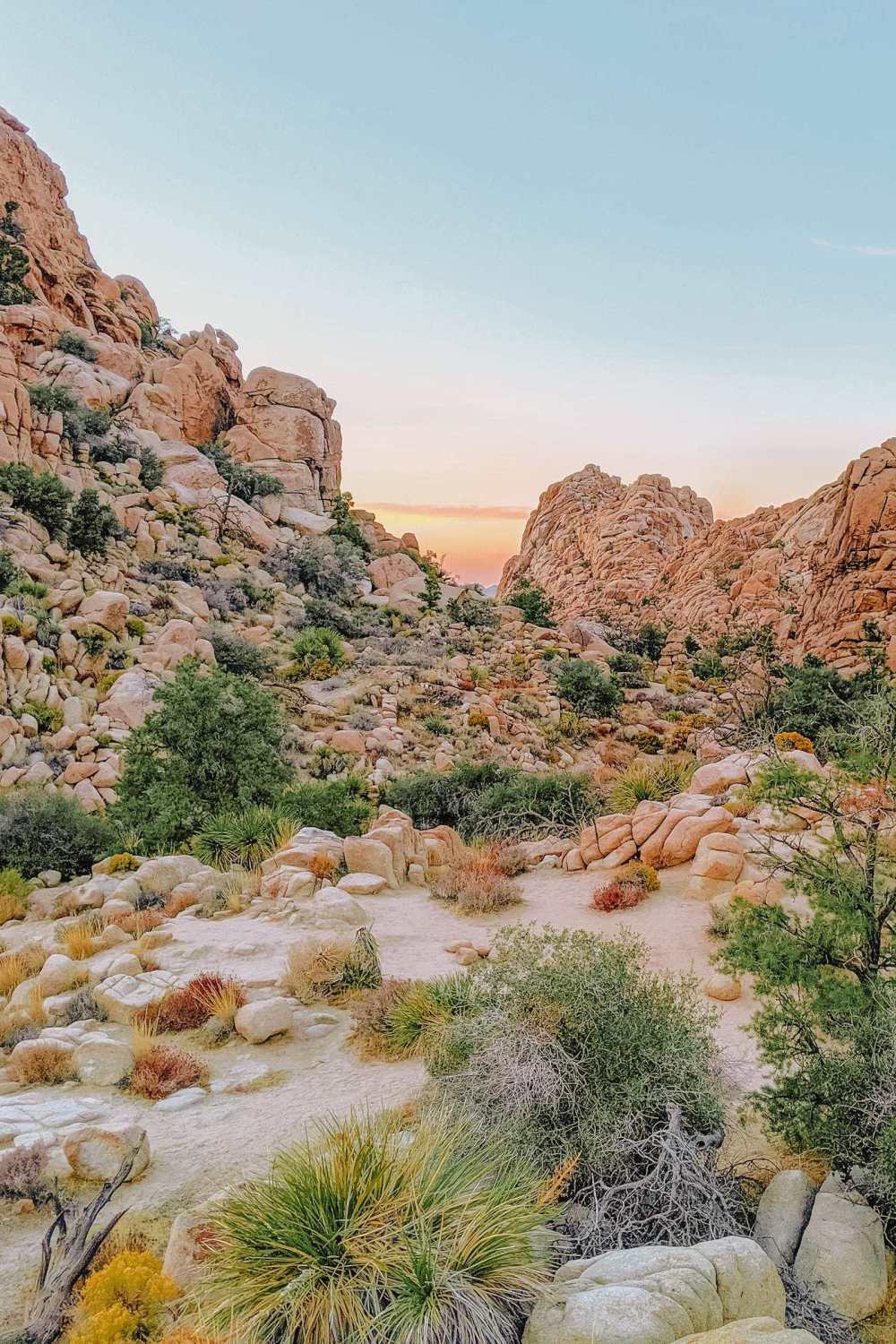 Best Things To Do In Joshua Tree National Park