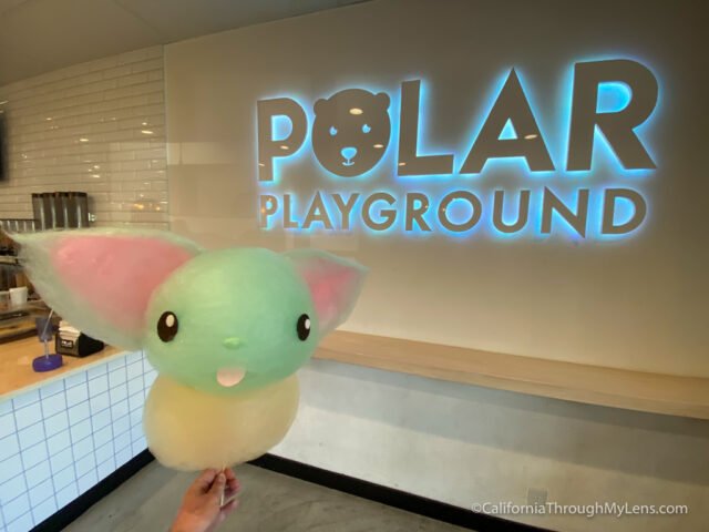 Polar Playground: Crazy Cotton Candy Art in Orange County