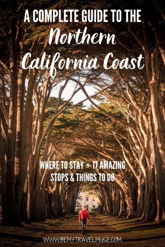 The Northern California Coast – All the Wonderful Things to See