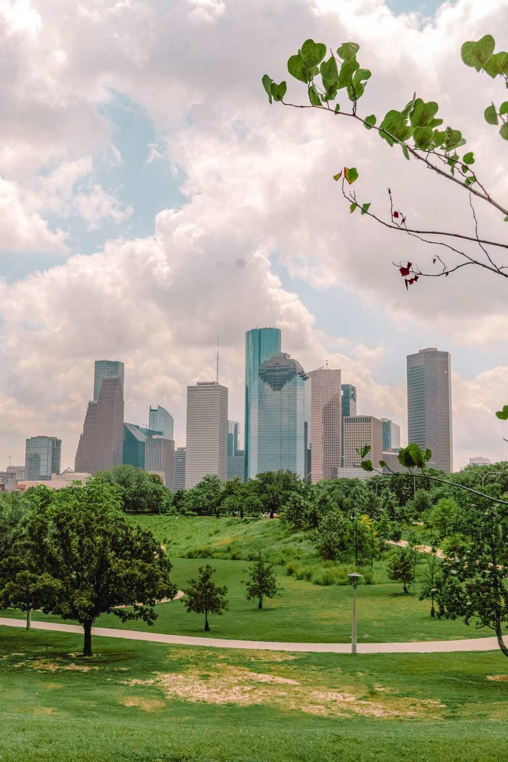 Best Things To Do In Houston