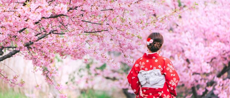 Kyoto Cherry Blossom Spots: 15 Best Sakura Hanami Viewing Locations (Tips & Travel Guide)