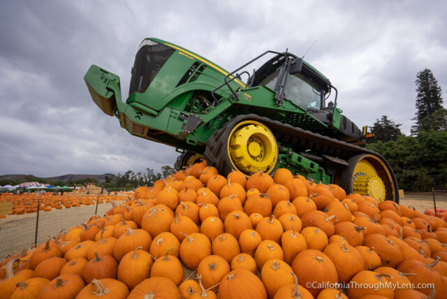 Underwood Family Farms: Halloween Pumpkin Patch and Fall Harvest Festival in Moorpark