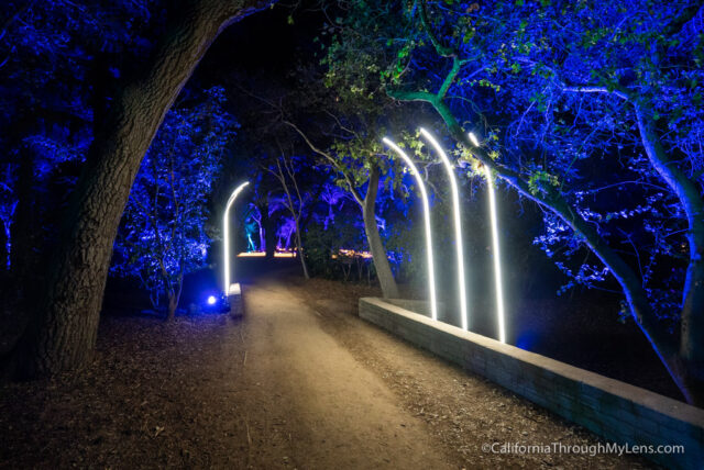 Descanso Gardens: Enchanted Forest of Lights Christmas Lights Display