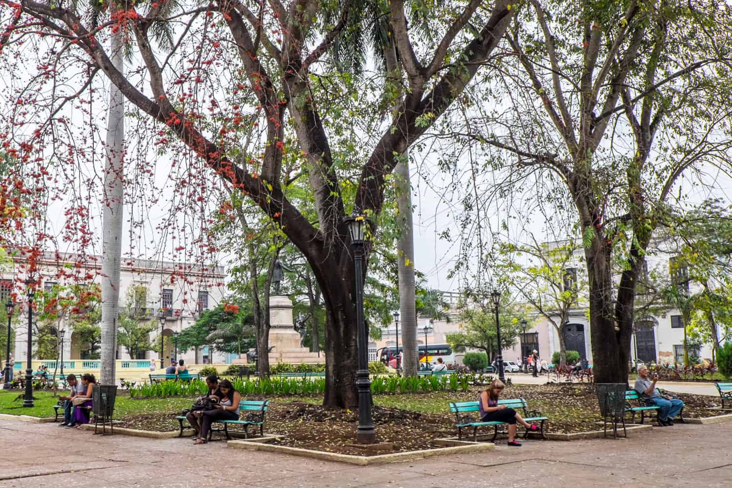 People in a park sitting at benches and looking at their phones - public squares are the only places to get Wifi in Cuba. 