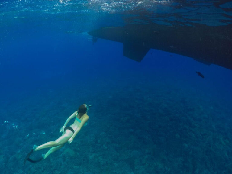 The Top 10 Best Snorkeling Spots in Maui