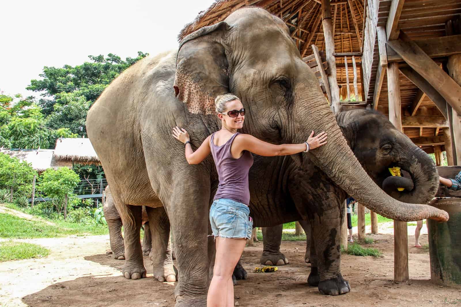 Tourists can get close to elephants without riding them in Elephant Nature Park, Thailand.