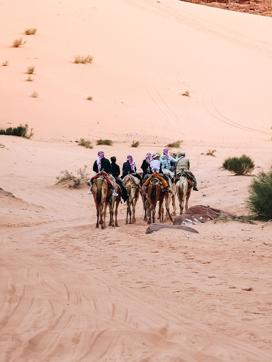 Desert Camel Ride at Wadi Rum