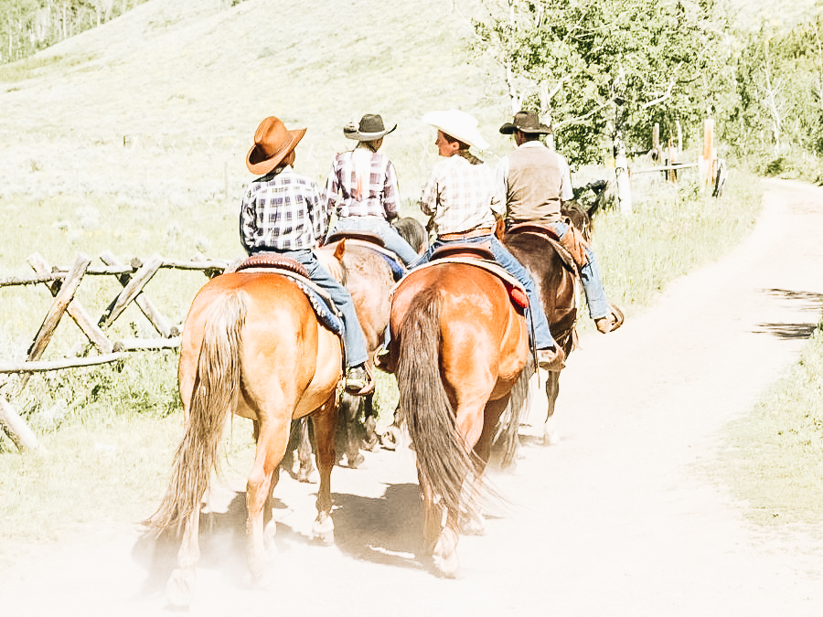 Horseback Riding