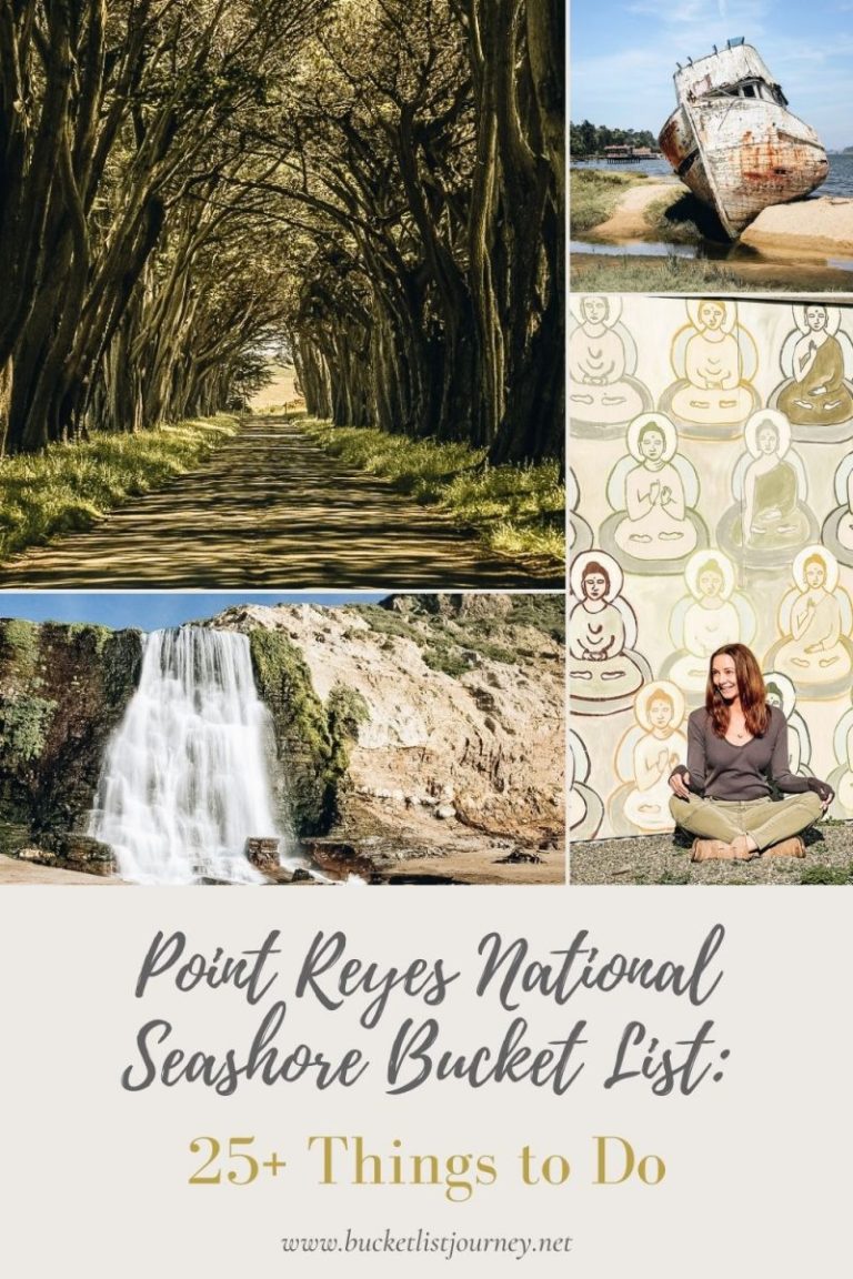 Point Reyes National Seashore Bucket List: 25+ Things to Do