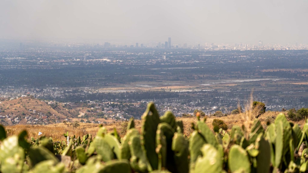 Mexico city beyond the nopales