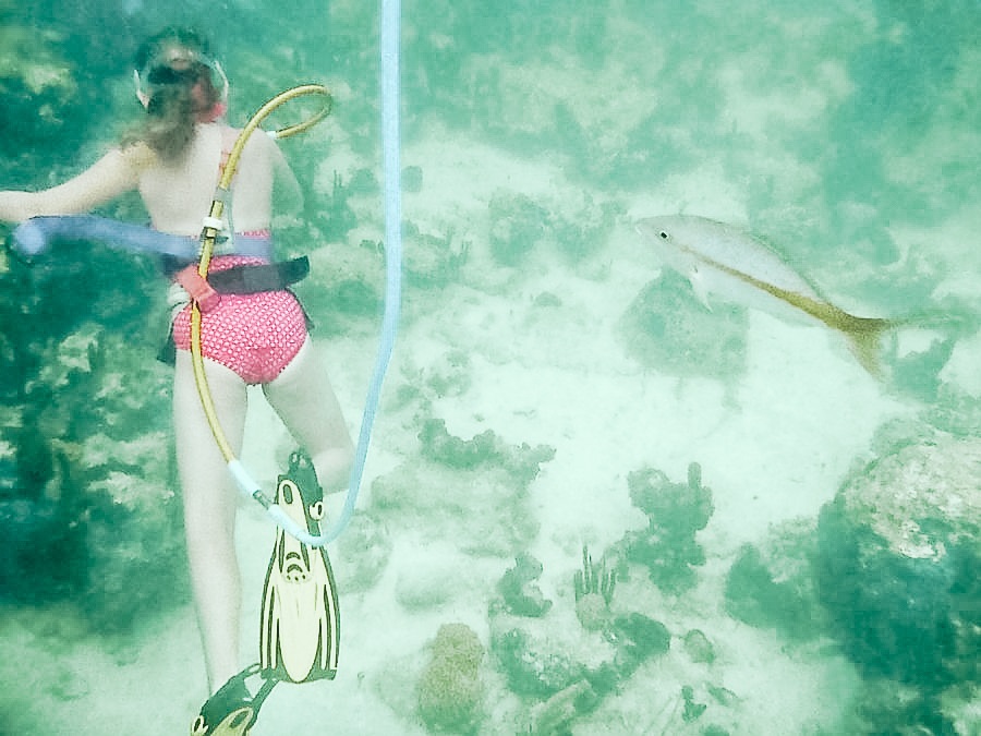 Try Snuba Diving