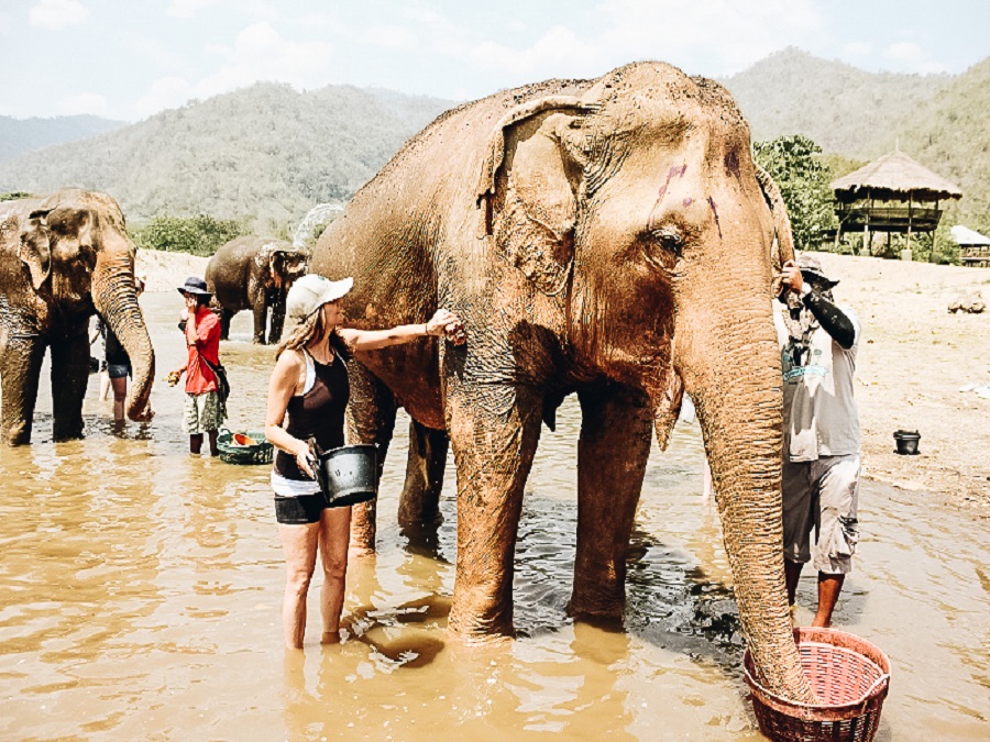 Annette as a Volunteer at a Elephant Rescue in Thailand
