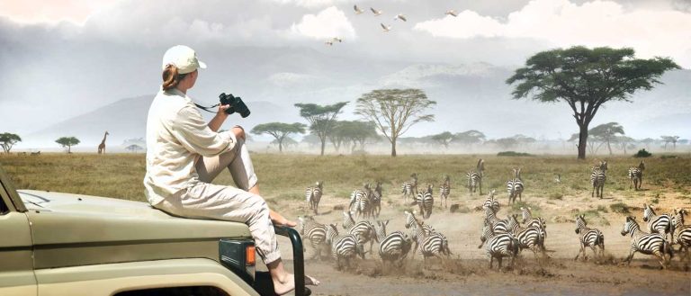 15 Best Tanzania Safaris, Tours, and Packages (Tips & Travel Guide)