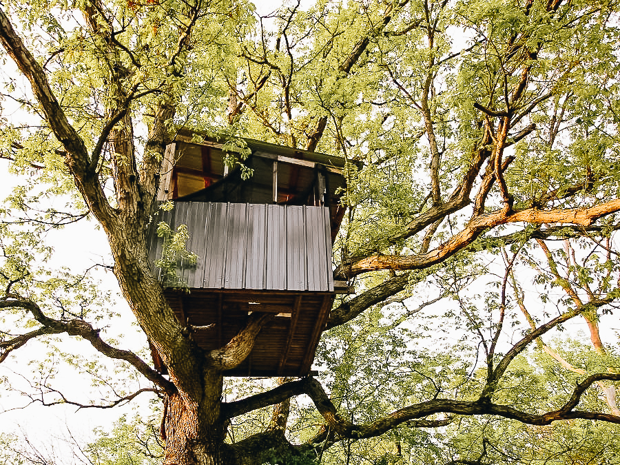 Build A Treehouse