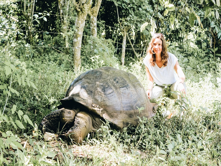 Annette near a Galapagos Giant Tortoise