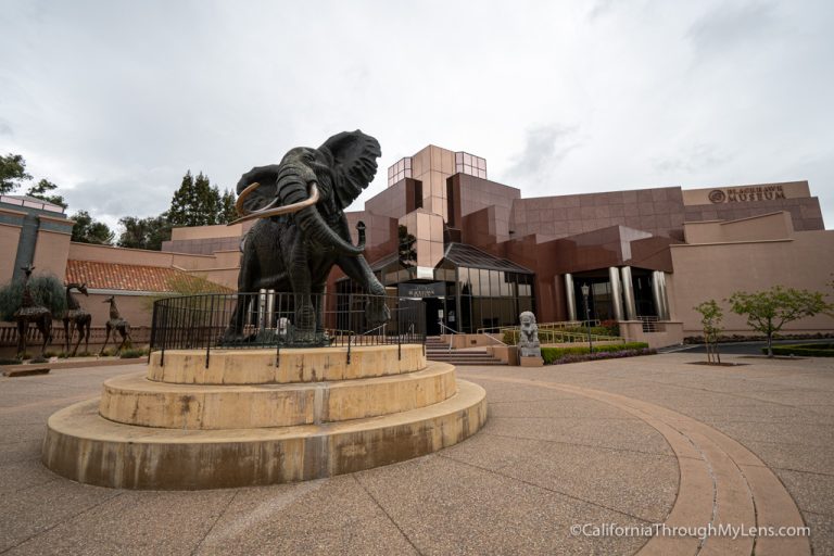Blackhawk Museum in Danville: One of California’s Best Museums