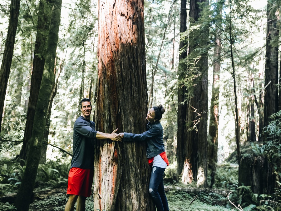 Annette and Pete hugging a Redwood at Hendy Woods State Park