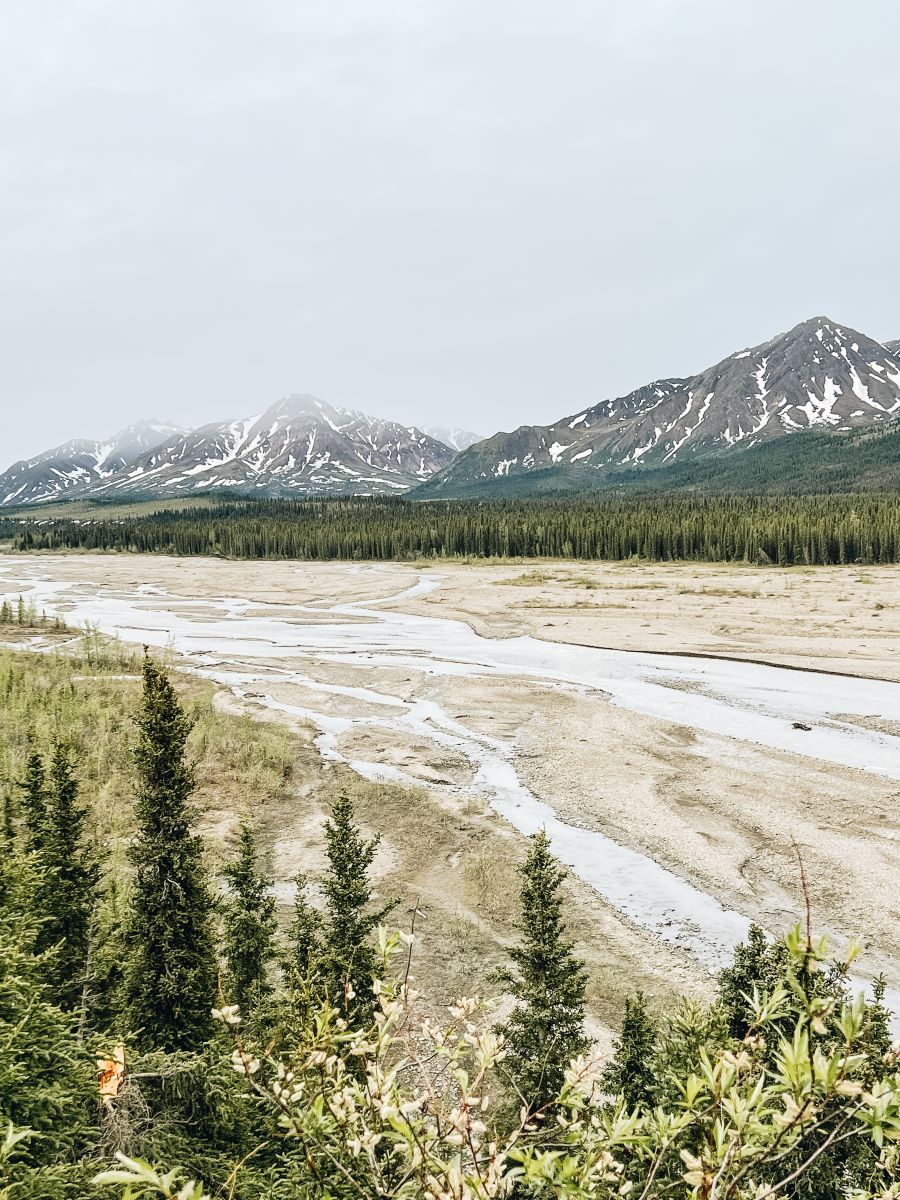 Denali Wilderness Tour