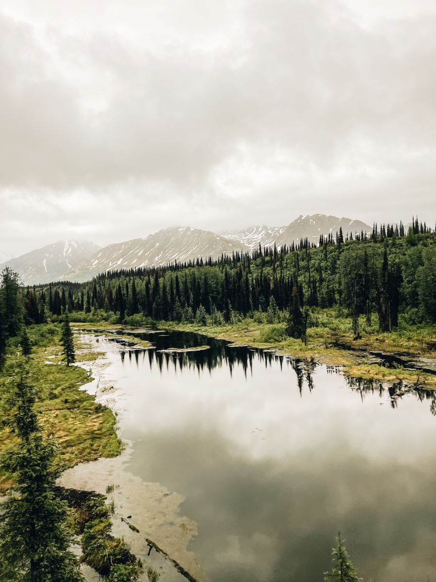 View at McKinley Explorer