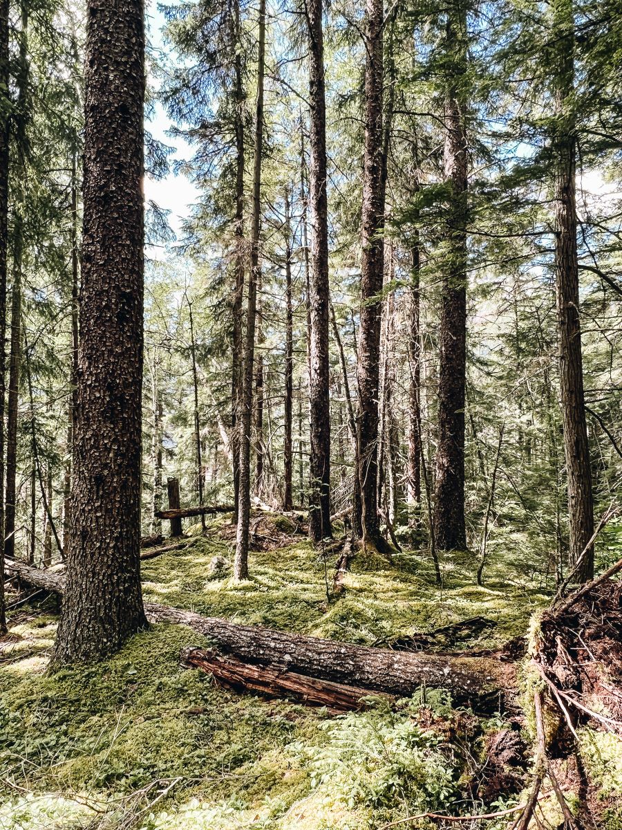 Chilkoot Trail Skagway