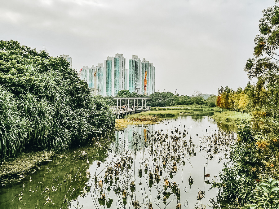 Wetland Park Hong Kong