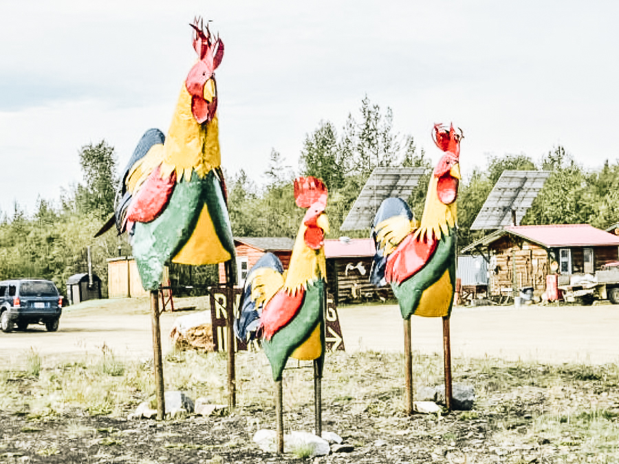 Chicken Statues at Chicken Alaska
