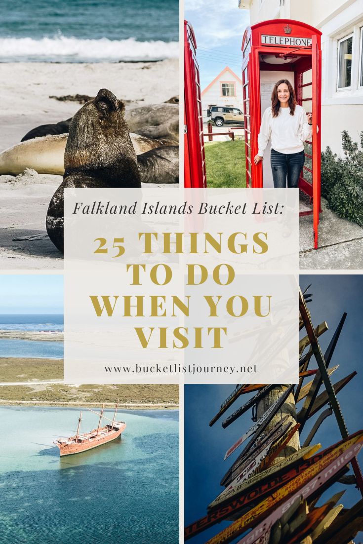 The Best Things to Do When You Travel to the Falkland Islands on Holiday