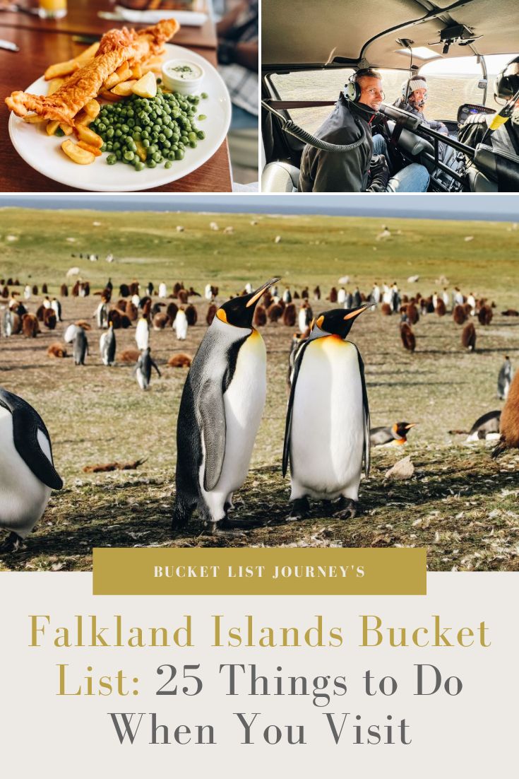 The Best Things to Do When You Travel to the Falkland Islands on Holiday
