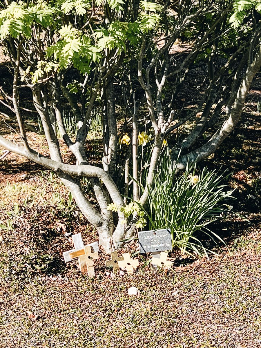 1982 Memorial Wood Tree
