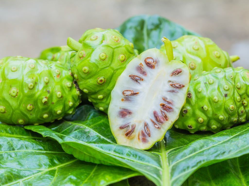 green and white noni fruit sliced