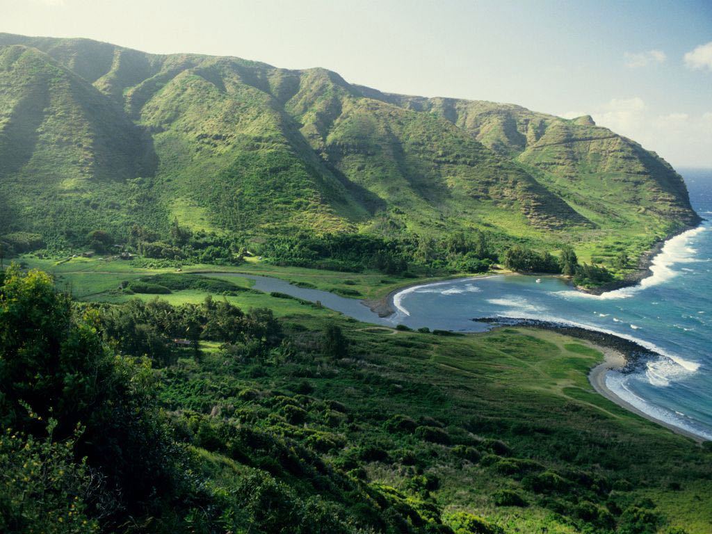 coast of molokai island in hawaii with greenery