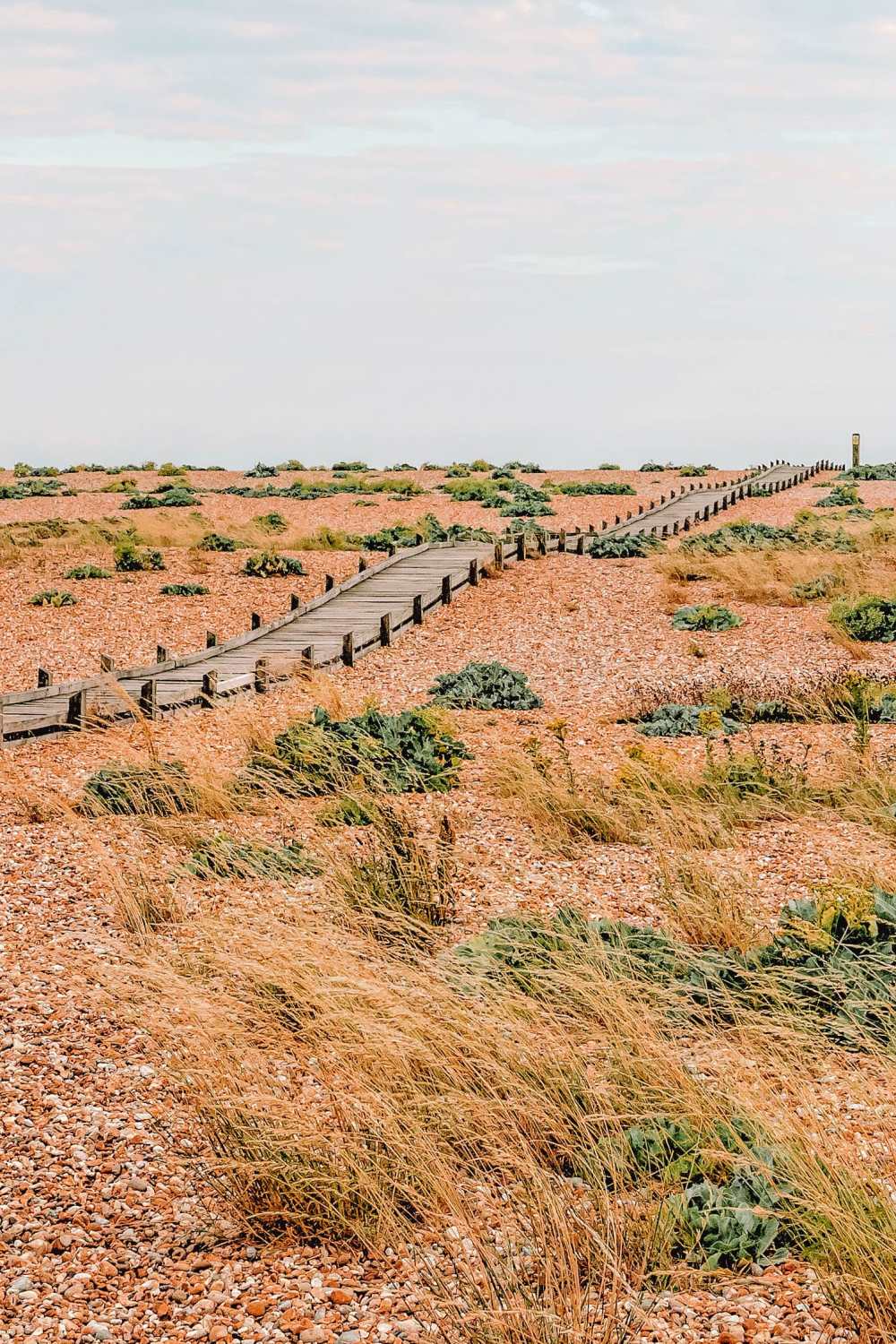 Best Beaches Near London To Visit Dungeness