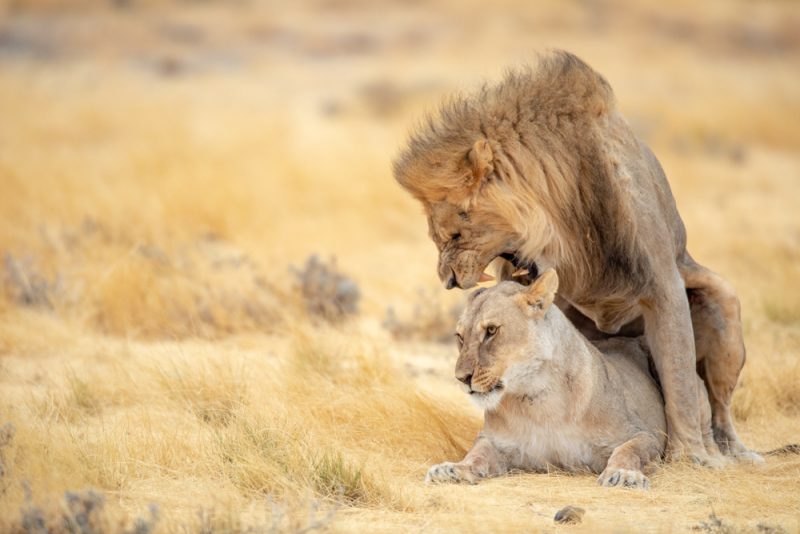 Namibia Photography