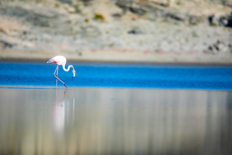 Namibia Photography