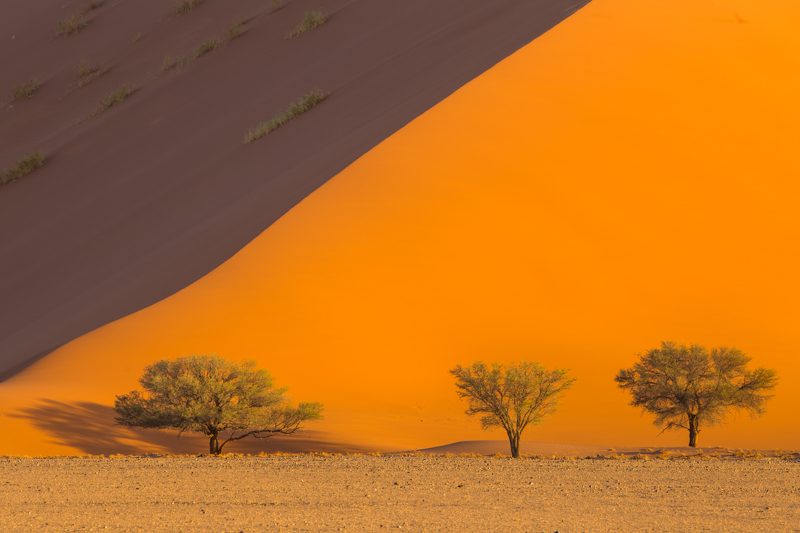 Namibia Photography