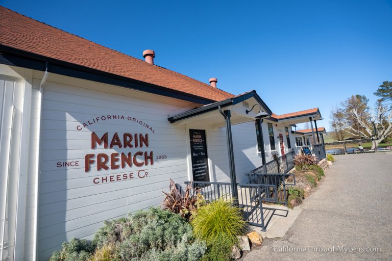 Marin French Cheese Company: Oldest Continuously Operated Cheese Company in USA