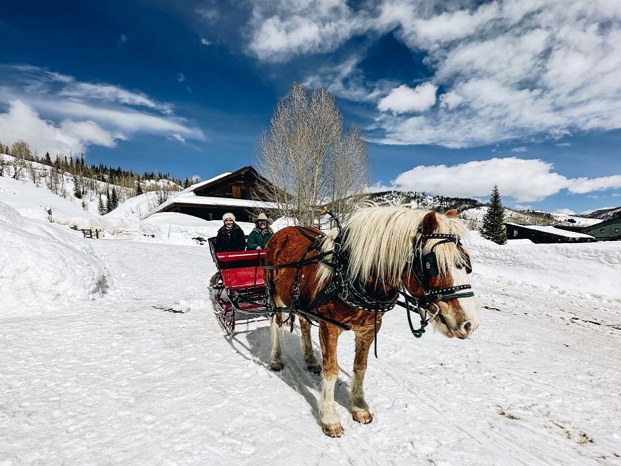 Annette and Peter on a Sleigh Ride at Vista Verde Guest Ranch Colorado
