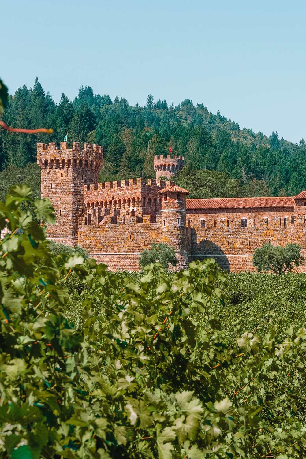 Valley California Calistoga Castello di Amorosa