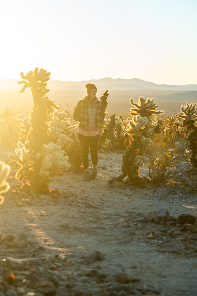 joshua tree national park things to do